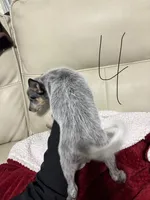 processed/9b1fd61f-8c2d-4b17-9d0a-f178cdce418d/listing/70a9acce-050c-4e32-a550-0829d4c57fcd/0eac2ede-5342-463c-ac16-f33b3d071d90