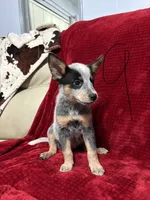 processed/9b1fd61f-8c2d-4b17-9d0a-f178cdce418d/listing/c45e8deb-52c8-411b-b5ed-cb932427b81b/c9d82bb3-c920-4d5a-9dab-da60288ec4f0