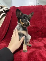 processed/9b1fd61f-8c2d-4b17-9d0a-f178cdce418d/listing/e61755b2-4925-451c-80c6-661e6ac80692/80a450bd-9a36-4fe1-a768-41e0feabef14