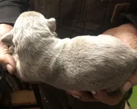 processed/9b371327-d3b3-48c0-921b-98ab155b0115/listing/839f354b-61c1-4301-b6c0-68083032e409/06f202d1-4b92-40b7-b83f-e86aa6bb24e0