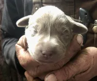 processed/9b371327-d3b3-48c0-921b-98ab155b0115/listing/839f354b-61c1-4301-b6c0-68083032e409/e559998f-4ed7-43d5-b182-6eb12e2d67d2