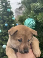 processed/9b4217b5-e6c8-4f1a-93cb-fda25ff19f93/listing/6b1288ca-7e30-48c4-bda4-9dec88aba241/0992a5df-953d-442f-99b3-33021f39ef61