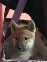 processed/9b4217b5-e6c8-4f1a-93cb-fda25ff19f93/listing/8ce6c79a-a192-4115-ad6c-1b4d4a15b365/0d61347c-2e2e-43d2-8b85-93e4be78d372