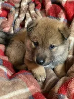 processed/9b4217b5-e6c8-4f1a-93cb-fda25ff19f93/listing/8ce6c79a-a192-4115-ad6c-1b4d4a15b365/37344ba5-e732-4f85-9663-2da9e91a4357