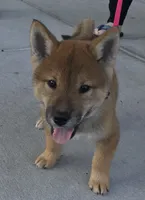 processed/9b4217b5-e6c8-4f1a-93cb-fda25ff19f93/listing/8ce6c79a-a192-4115-ad6c-1b4d4a15b365/c0833dc1-961e-4ae6-b571-0ffbb20e56ea