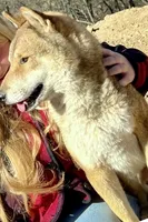 processed/9b4217b5-e6c8-4f1a-93cb-fda25ff19f93/listing/e0f9b680-1b12-4f9d-a371-bb2eac7879f5/254d59b2-070a-491f-af1f-64bf97a676f4