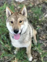 processed/9b4217b5-e6c8-4f1a-93cb-fda25ff19f93/listing/e0f9b680-1b12-4f9d-a371-bb2eac7879f5/fbbabfee-9871-4919-a3a2-ded7bd67cf7e