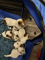 processed/9b464791-6a8d-479a-9a9c-7d2974065a73/listing/1840cc54-113a-4450-864b-b402953245a7/c7e96780-ac81-4f0d-810e-1e50163ecf62