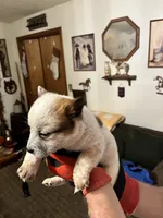 processed/9b464791-6a8d-479a-9a9c-7d2974065a73/listing/1840cc54-113a-4450-864b-b402953245a7/d16b8693-3666-412d-8e67-8fbc8ffe390a