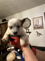 processed/9b464791-6a8d-479a-9a9c-7d2974065a73/listing/1840cc54-113a-4450-864b-b402953245a7/eaf1bbfd-3613-4f7a-96e4-26b18db3d239