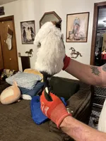 processed/9b464791-6a8d-479a-9a9c-7d2974065a73/listing/612e6623-c881-488a-ab3b-b134260319b6/5ccfd27d-aa67-4e1c-8ac5-45084f66845f