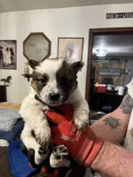 processed/9b464791-6a8d-479a-9a9c-7d2974065a73/listing/612e6623-c881-488a-ab3b-b134260319b6/b9df2fb6-1da3-47bf-8e48-1746e05bccbc