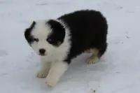 processed/9b4f4816-40fe-470b-b5cf-a7a1c106daf8/listing/2728119d-ae0d-4a49-8c69-d463349f0d2f/24f3720d-42b9-4a38-bfcc-5d6c3e88bfbe