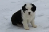 processed/9b4f4816-40fe-470b-b5cf-a7a1c106daf8/listing/2728119d-ae0d-4a49-8c69-d463349f0d2f/d0eb4d51-0c7e-40cc-a588-c56f3dd5972c