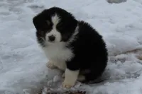 processed/9b4f4816-40fe-470b-b5cf-a7a1c106daf8/listing/27b46e9d-920f-4086-be5a-c3e71346ef18/4a1725ba-d022-4500-aa69-f6be433ebf20