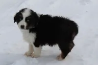 processed/9b4f4816-40fe-470b-b5cf-a7a1c106daf8/listing/62a70398-7c7c-4839-a48b-898645d8635e/1d59dcce-d8c0-4cd2-b8f3-a39a59aa3e8c