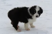 processed/9b4f4816-40fe-470b-b5cf-a7a1c106daf8/listing/62a70398-7c7c-4839-a48b-898645d8635e/88e1cad2-6e95-44ee-8296-4a0f39ac538c