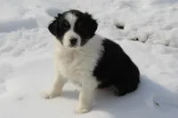 processed/9b4f4816-40fe-470b-b5cf-a7a1c106daf8/listing/838d5a18-54c3-46bc-93c0-3be09dabef3c/85be01bc-6741-4f57-ac25-0fe572c0b465