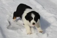 processed/9b4f4816-40fe-470b-b5cf-a7a1c106daf8/listing/838d5a18-54c3-46bc-93c0-3be09dabef3c/8d434cdd-ed28-45bf-a9c6-17e13d9b87e0