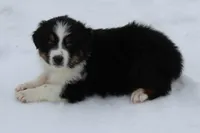 processed/9b4f4816-40fe-470b-b5cf-a7a1c106daf8/listing/9800344d-8123-44c0-a2c4-9305ccd03319/d3e7552e-d848-4fd8-98ae-1a202934e1c4