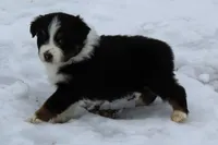 processed/9b4f4816-40fe-470b-b5cf-a7a1c106daf8/listing/9c3acaf7-d310-4a50-90a3-bf872ce0c475/23c99c1f-71e4-4738-a9f3-19e57b0518ed