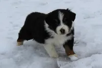 processed/9b4f4816-40fe-470b-b5cf-a7a1c106daf8/listing/9c3acaf7-d310-4a50-90a3-bf872ce0c475/34c07cc4-0d8a-40eb-b5ba-70b110a1ac3f