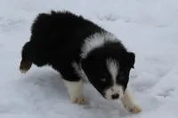 processed/9b4f4816-40fe-470b-b5cf-a7a1c106daf8/listing/9ec07173-4783-4d8f-bad1-4e52acb59b9b/a2847675-dbcd-4538-a805-32495f7c5364