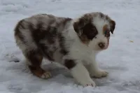 processed/9b4f4816-40fe-470b-b5cf-a7a1c106daf8/listing/ad78618b-bdc1-4af9-92d1-1e2ff023af36/4eed1c1d-651c-4292-919c-b6c875595f91