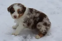 processed/9b4f4816-40fe-470b-b5cf-a7a1c106daf8/listing/ad78618b-bdc1-4af9-92d1-1e2ff023af36/98999c3a-53e2-4104-bf0e-2c22f51eb214