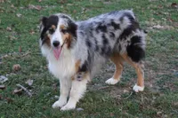 processed/9b4f4816-40fe-470b-b5cf-a7a1c106daf8/listing/f1c6ed0c-7aa3-454f-ba00-192f85e50f44/0f8b5a9b-f28b-4103-b91d-0303ab8b3f88