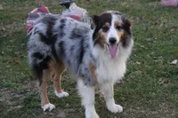 processed/9b4f4816-40fe-470b-b5cf-a7a1c106daf8/listing/f1c6ed0c-7aa3-454f-ba00-192f85e50f44/454fac73-5e4a-41be-ac50-51b43eedeea7