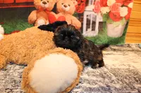 processed/9b4ff307-ccd9-4b5d-b82d-56dec2d041b6/listing/4d1b20a6-b724-46f7-bd9b-a37c8fc0d712/1881fcfc-7711-4882-a04b-ec0975fee6d1