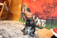 processed/9b4ff307-ccd9-4b5d-b82d-56dec2d041b6/listing/4d1b20a6-b724-46f7-bd9b-a37c8fc0d712/1d7fb738-21e6-4e21-ae0f-9543026ce1b4