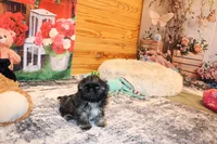 processed/9b4ff307-ccd9-4b5d-b82d-56dec2d041b6/listing/4d1b20a6-b724-46f7-bd9b-a37c8fc0d712/444c264a-5247-4c01-bf08-fd37a35ea883