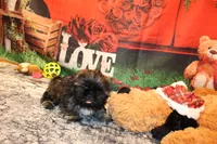 processed/9b4ff307-ccd9-4b5d-b82d-56dec2d041b6/listing/4d1b20a6-b724-46f7-bd9b-a37c8fc0d712/4fcf7bb2-f314-411b-9670-f650cc7eb60c