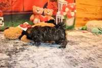 processed/9b4ff307-ccd9-4b5d-b82d-56dec2d041b6/listing/4d1b20a6-b724-46f7-bd9b-a37c8fc0d712/f29dfe7e-b173-460b-9935-b613f4f6d07c