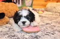 processed/9b4ff307-ccd9-4b5d-b82d-56dec2d041b6/listing/6fce401e-5067-4848-a7d6-b08fd4f62664/3aced16d-2552-44df-9fcb-c3fe46027946