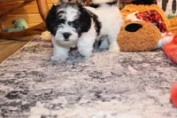 processed/9b4ff307-ccd9-4b5d-b82d-56dec2d041b6/listing/6fce401e-5067-4848-a7d6-b08fd4f62664/5fdc056a-0f80-4d69-9b7b-906b886c8e93