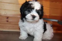 processed/9b4ff307-ccd9-4b5d-b82d-56dec2d041b6/listing/6fce401e-5067-4848-a7d6-b08fd4f62664/6ddd0cb4-fd6b-4fcb-8696-e67c9d39fa2f