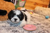 processed/9b4ff307-ccd9-4b5d-b82d-56dec2d041b6/listing/6fce401e-5067-4848-a7d6-b08fd4f62664/8cb0c19f-754e-4669-80e1-08208165ca3d