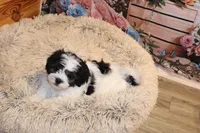 processed/9b4ff307-ccd9-4b5d-b82d-56dec2d041b6/listing/6fce401e-5067-4848-a7d6-b08fd4f62664/aad7aded-5b4f-4f71-8a8c-1602c2bdd0d7