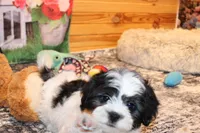 processed/9b4ff307-ccd9-4b5d-b82d-56dec2d041b6/listing/6fce401e-5067-4848-a7d6-b08fd4f62664/b1ccf3d3-585b-4cec-a5f0-a0868b1a1535