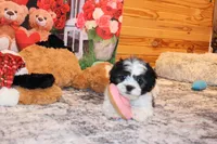 processed/9b4ff307-ccd9-4b5d-b82d-56dec2d041b6/listing/6fce401e-5067-4848-a7d6-b08fd4f62664/f15cc28a-9183-462f-901d-78384c9ee5c3