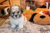 processed/9b4ff307-ccd9-4b5d-b82d-56dec2d041b6/listing/e97491c3-515e-4b55-8178-cd1cbb9a87f0/116204bf-f44c-4517-a9de-5dc89788d4ad