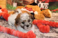 processed/9b4ff307-ccd9-4b5d-b82d-56dec2d041b6/listing/e97491c3-515e-4b55-8178-cd1cbb9a87f0/55bb2a01-b220-4d73-a745-107420e24c85