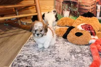 processed/9b4ff307-ccd9-4b5d-b82d-56dec2d041b6/listing/e97491c3-515e-4b55-8178-cd1cbb9a87f0/872e7f7d-2e68-42ea-8118-8e2a6517c6c6