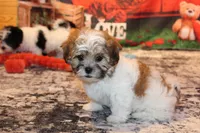 processed/9b4ff307-ccd9-4b5d-b82d-56dec2d041b6/listing/e97491c3-515e-4b55-8178-cd1cbb9a87f0/8b73753f-b87c-40fd-a5eb-9ffe69861286