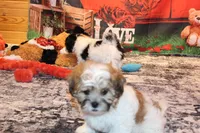 processed/9b4ff307-ccd9-4b5d-b82d-56dec2d041b6/listing/e97491c3-515e-4b55-8178-cd1cbb9a87f0/b8b0e713-0f0f-4bc5-a728-70d5b1e41b8e