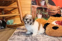 processed/9b4ff307-ccd9-4b5d-b82d-56dec2d041b6/listing/e97491c3-515e-4b55-8178-cd1cbb9a87f0/bd450706-d100-4ad9-b9fe-87988e79d3ad