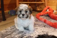 processed/9b4ff307-ccd9-4b5d-b82d-56dec2d041b6/listing/e97491c3-515e-4b55-8178-cd1cbb9a87f0/cffc296e-9eb1-4ef6-91a9-14c39ebec78d